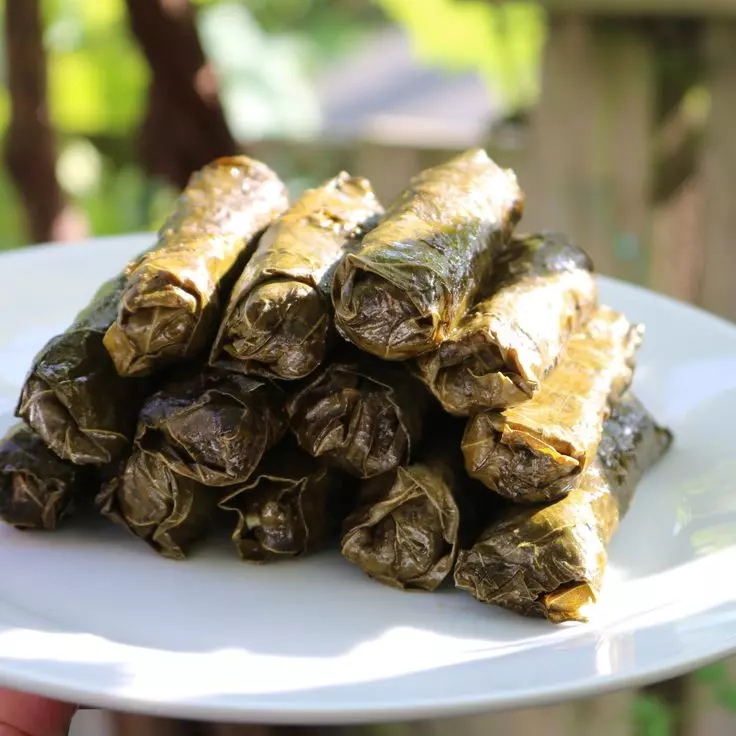 Hojas de parra vegetarianas (5)