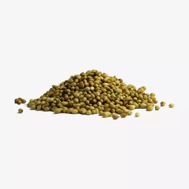 Semilla de cilantro