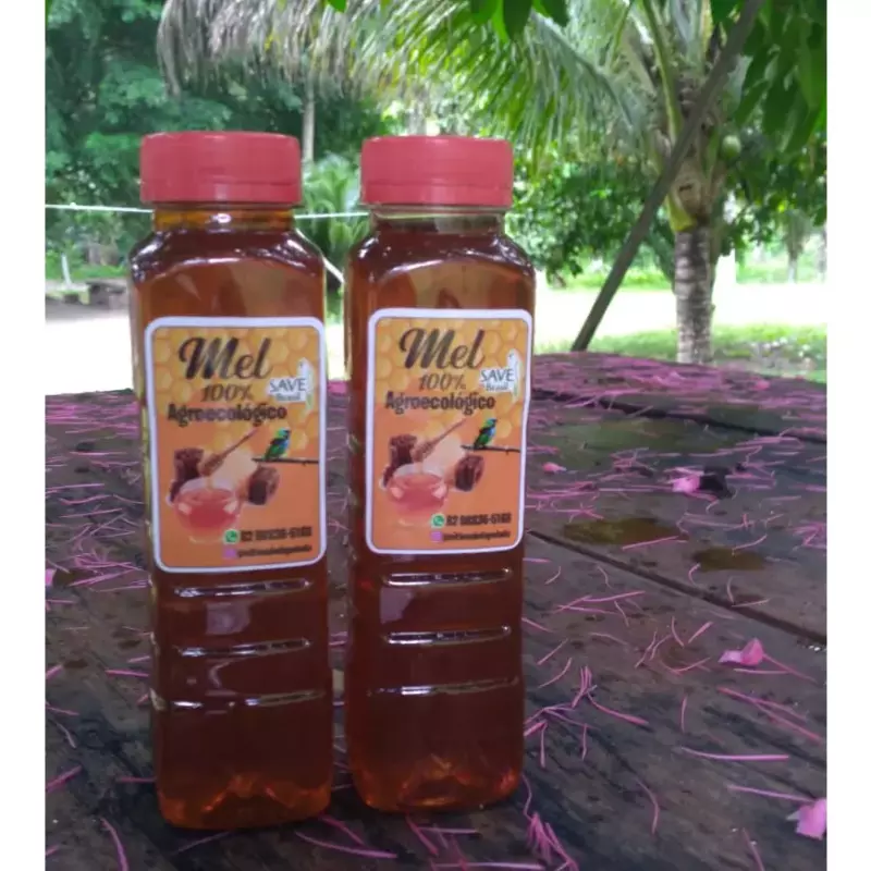 🐝Mel de abelha uruçu (430g)