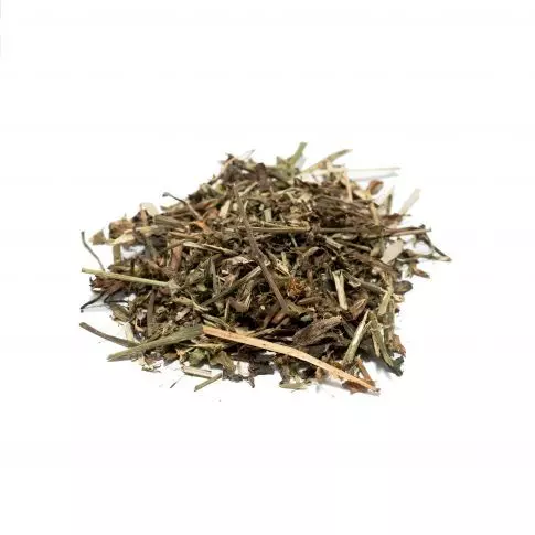Dente de Leão - 100G