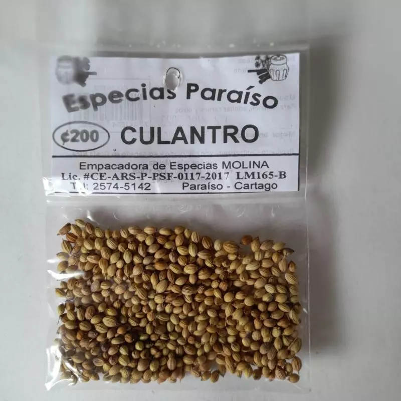 CULANTRO SEMILLA