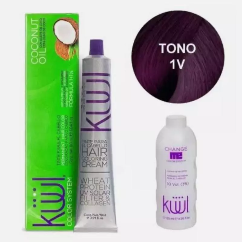 Tinte Kuul 1V