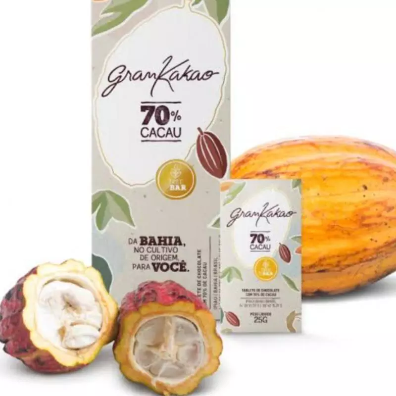 Barra chocolate tradicional 100g