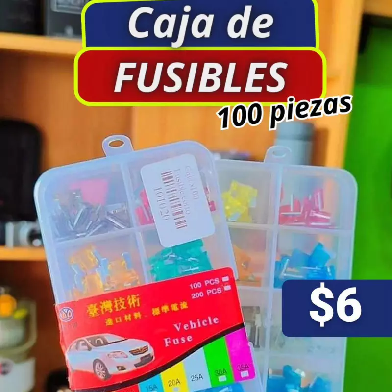 Caja de fusibles