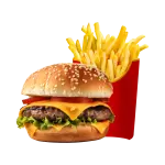 X-TUDO + BATATA FRITA