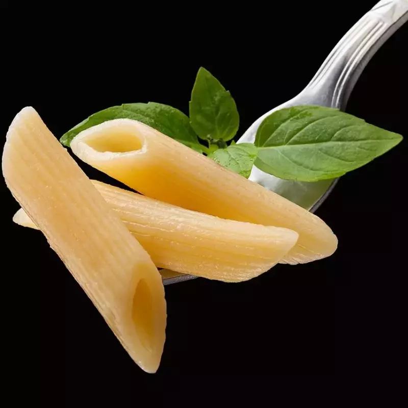 Macarrão Paganini Pennine Rigate