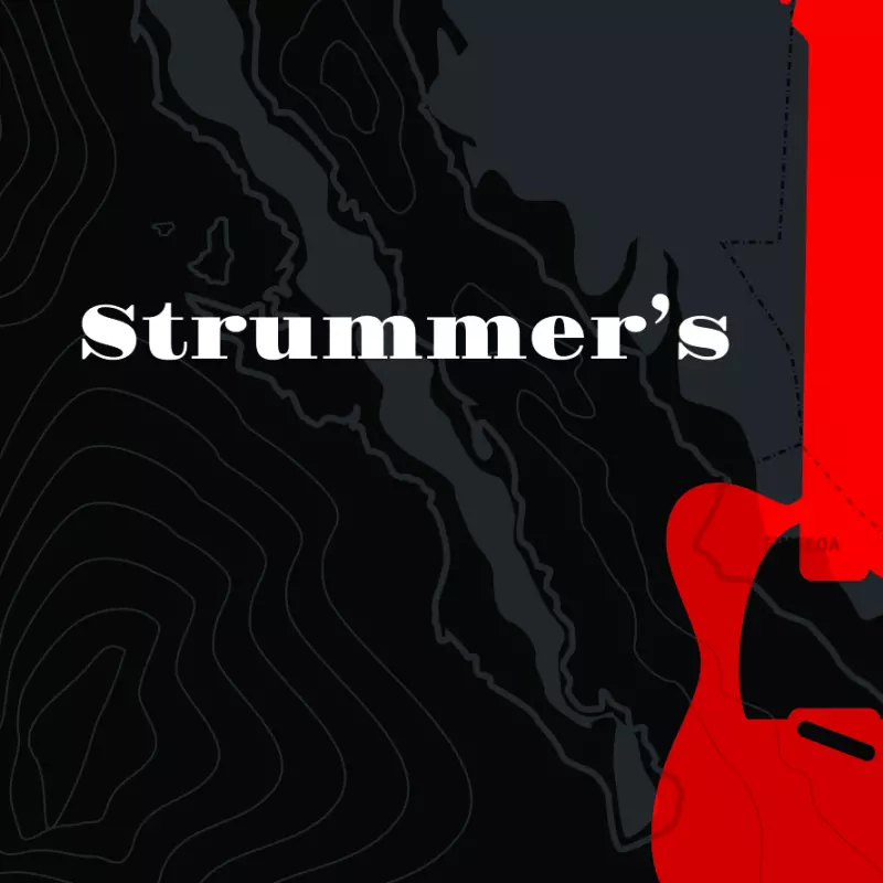 STRUMMER'S Vienna Lager