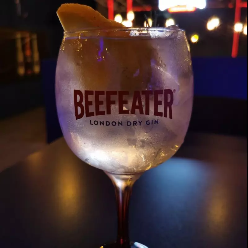 GIN TÔNICA BEEFEATER BOTÂNICO