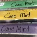 CANEMINT: Amarela, verde ou Roxa ⭐