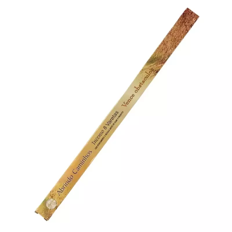 FLUTE ABRINDO CAMINHO