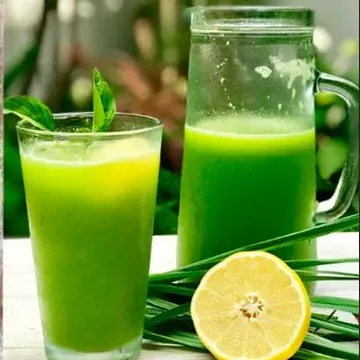 LIMONADA DE HIERBALUISA x 1LT.