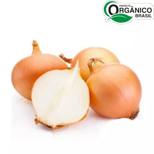 Cebola Branca Orgânica