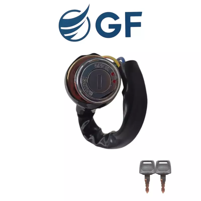 SWITCH ENCENDIDO AX100 GF