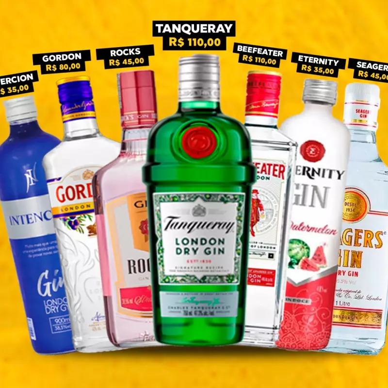 Combos Gin C/6 Gelos