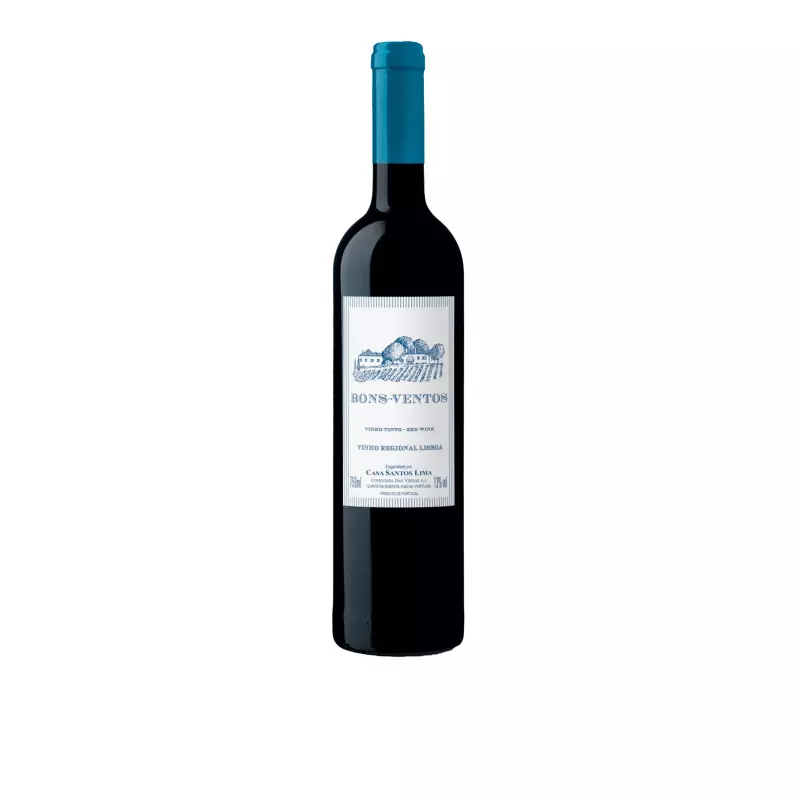 BONS VENTOS TINTO