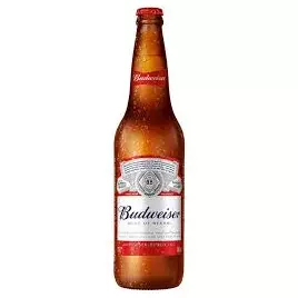 Cerveja Budweiser 600ml