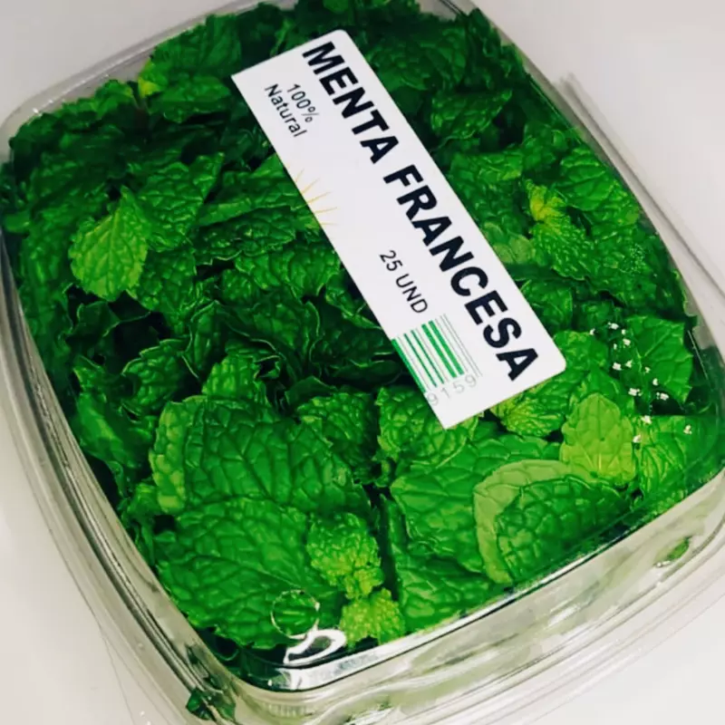 Menta Francesa x25 Unidades