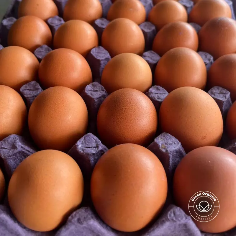 Huevos criollos rojo