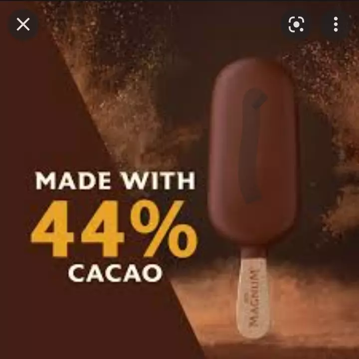 Magnum mini
