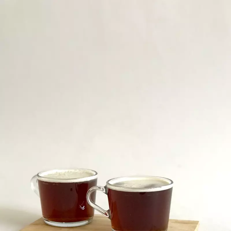 2 CAFE OAXAQUEÑO ARTESANAL DIA.16OZ