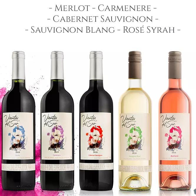 VINO VIENTOS DEL SUR