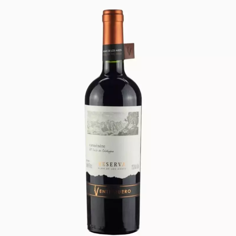 🇨🇱 VENTISQUERO RESERVA CARMENERÉ