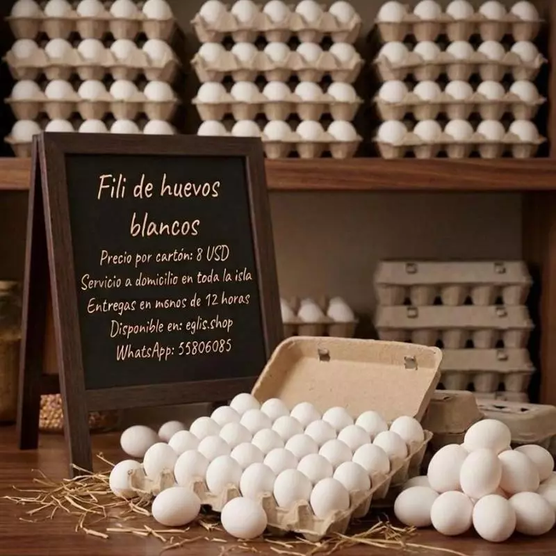 Cartón de Huevo importado