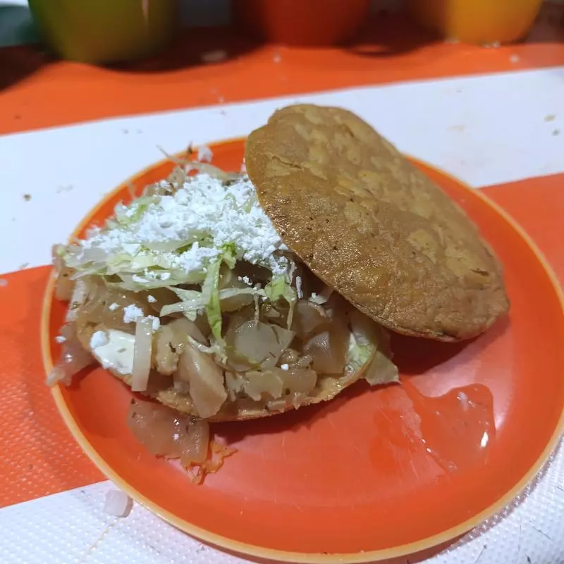 T Hongos