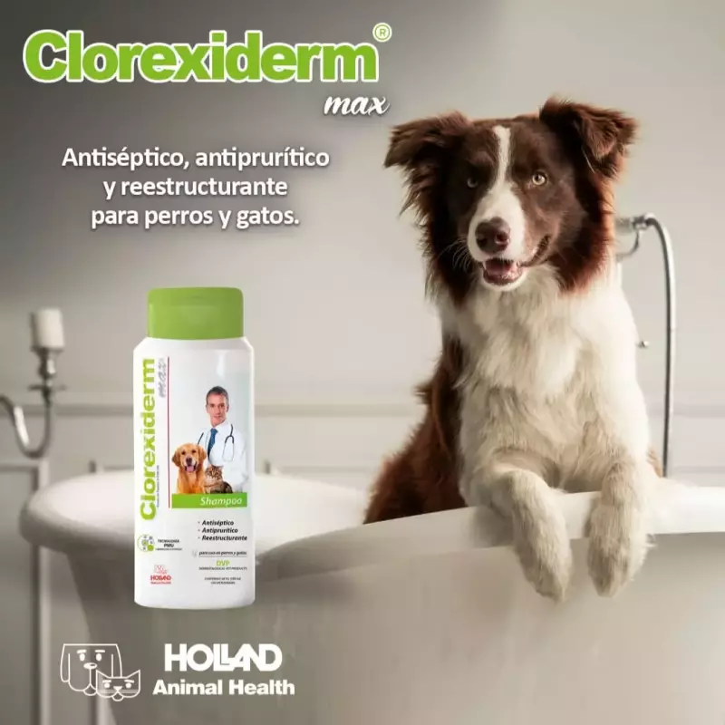 Shampoo Clorexiderm ®️