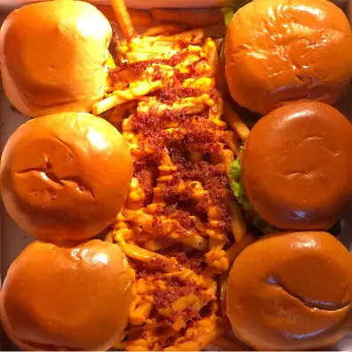 Caixa Familia (6 Burguers)