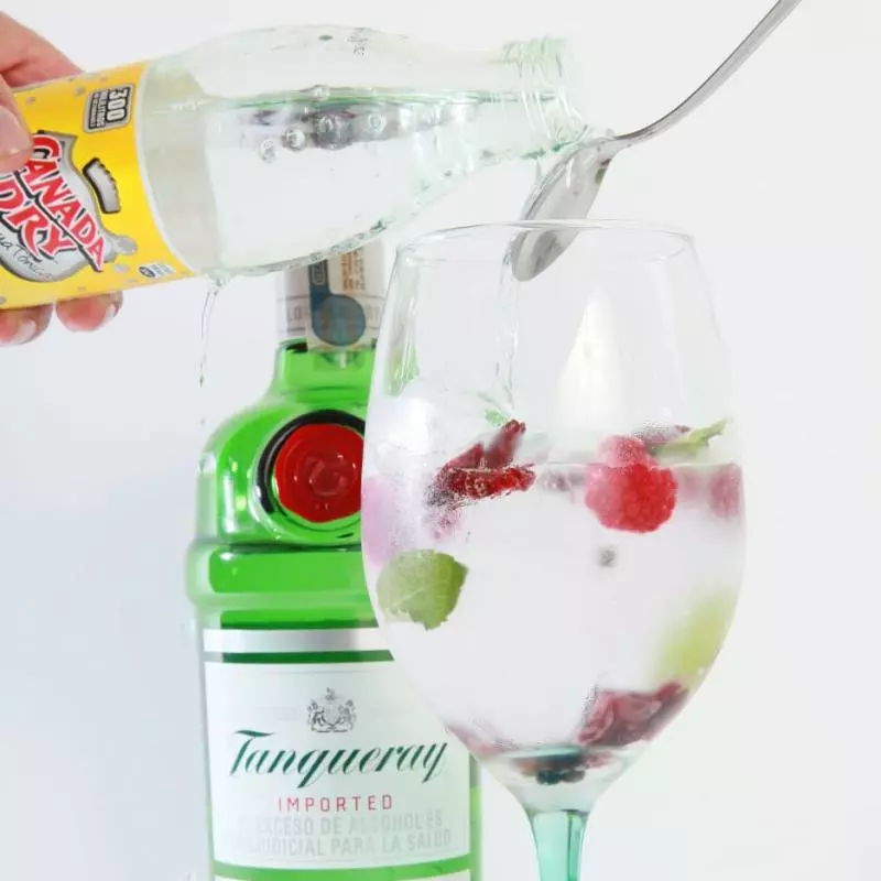 Coctel Gin Tonic