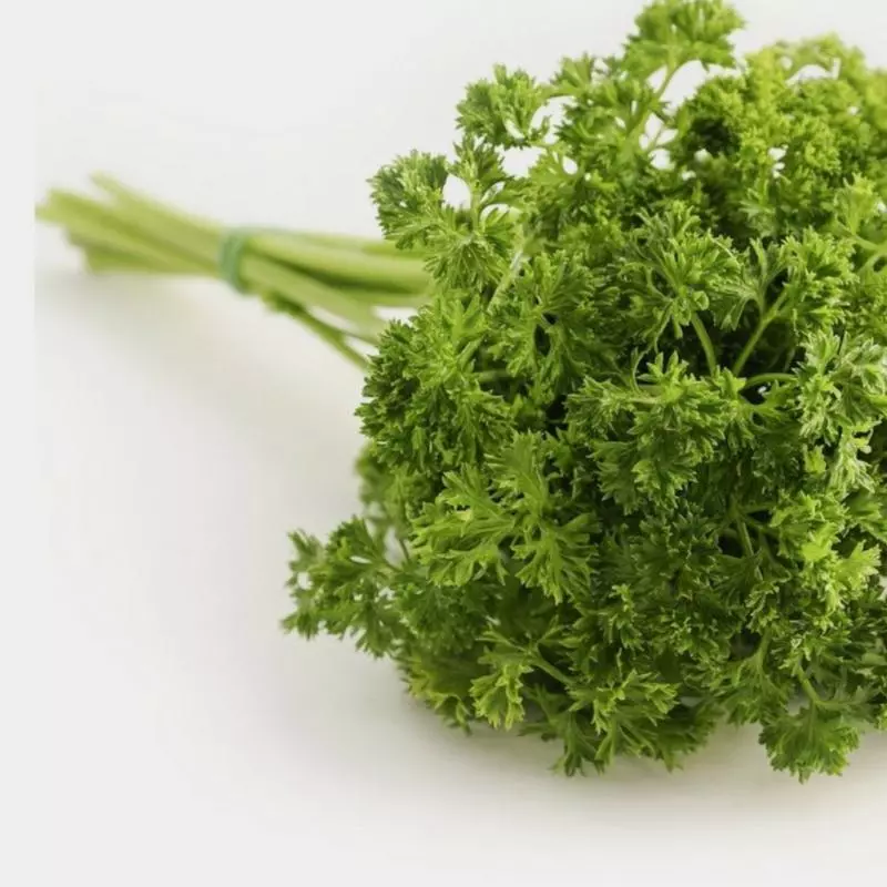 Perejil crespo x500gr