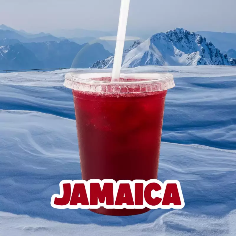 Agua Jamaica 1L