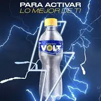 volt go