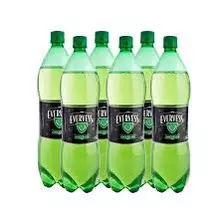 EVERVESS GINGER ALE 1.5LT