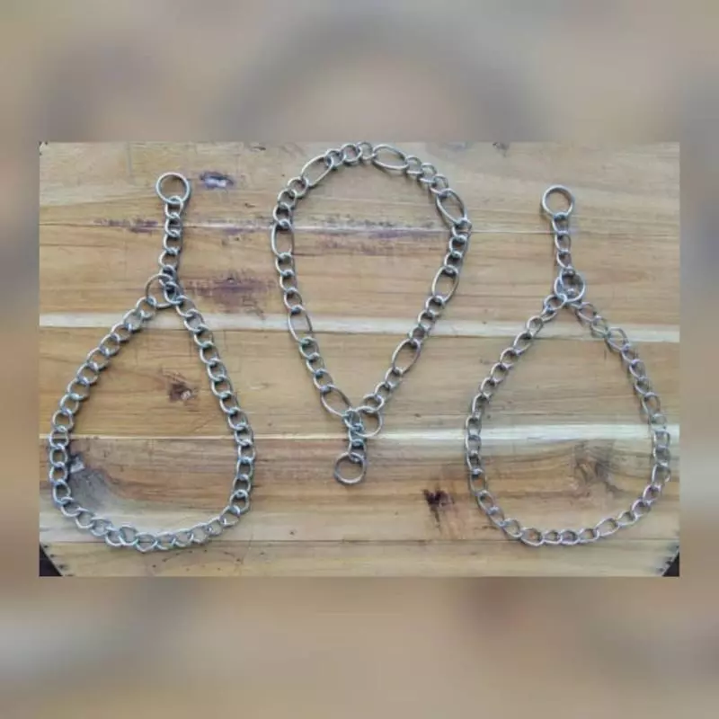 COLLAR DE ADIESTRAMIENTO