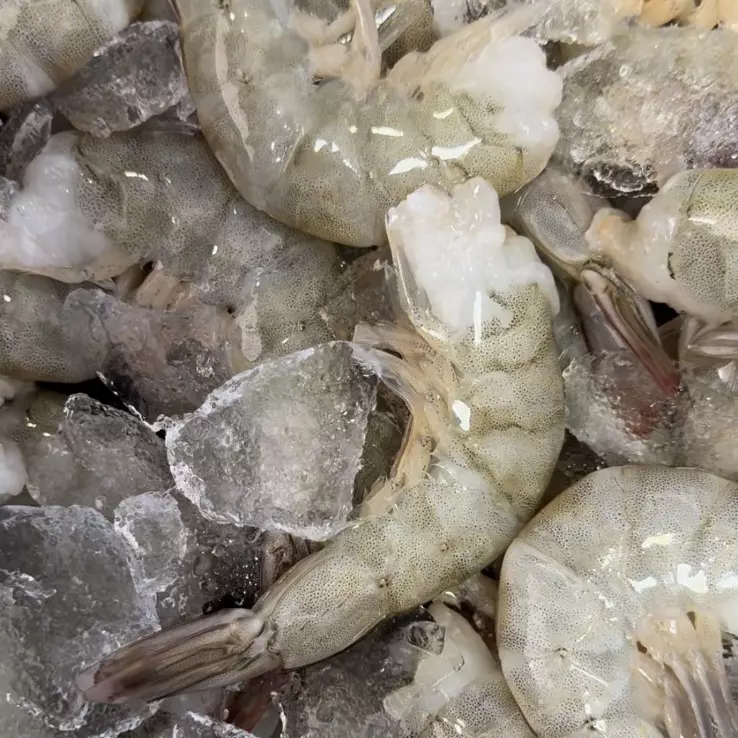 Cauda do tamanho do coração de Mãe