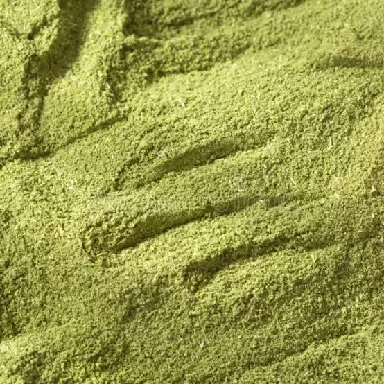 Moringa em pó