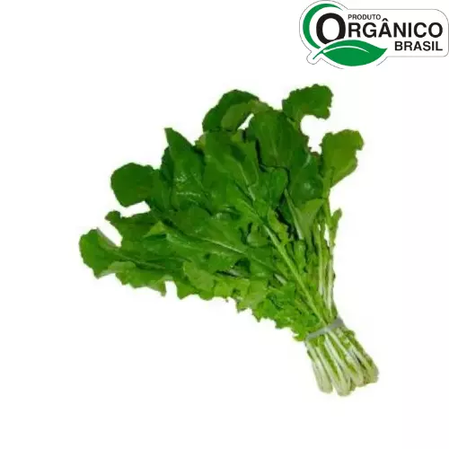 Rucula Orgânica Un