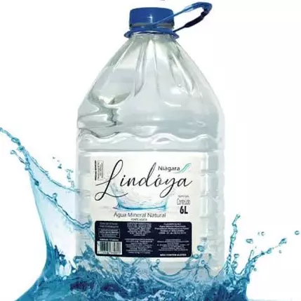 Água s/ gás lindoya 6L