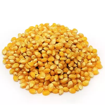 Milho Premium de Cinema - 100g