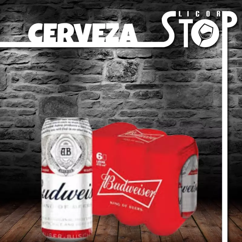 BUDWEISER LATA 269 X6