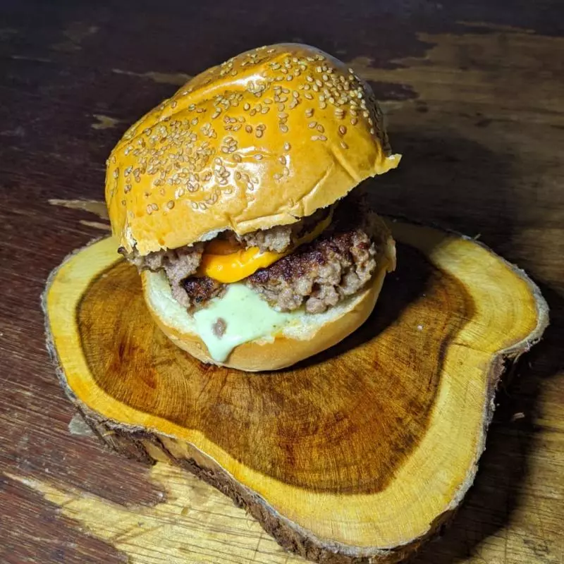 ARTESANAL ESPECIAL BURGUER