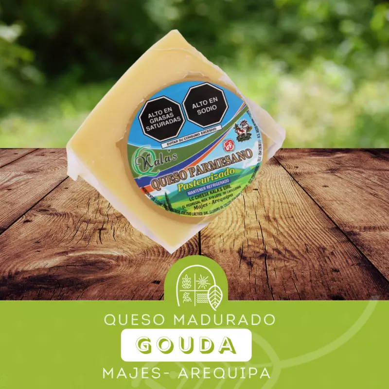 QUESO PARMESANO