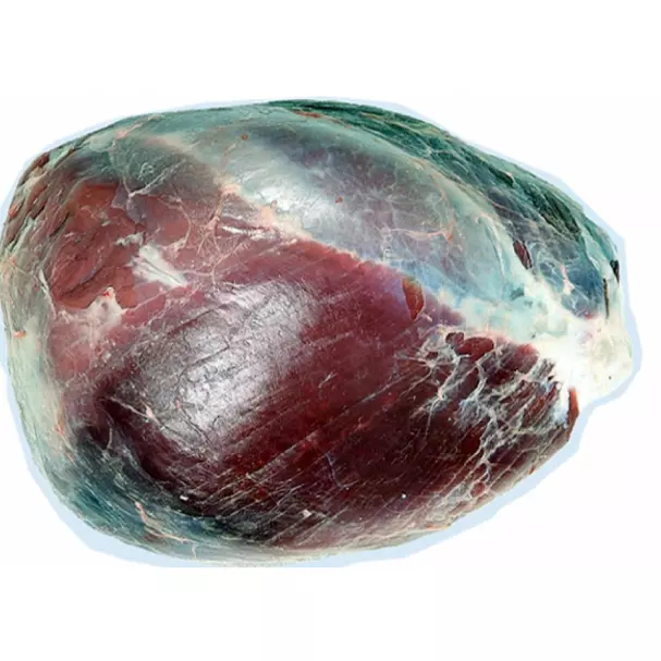 Badilla (pieza entera)