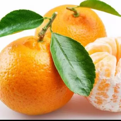 Mandarina