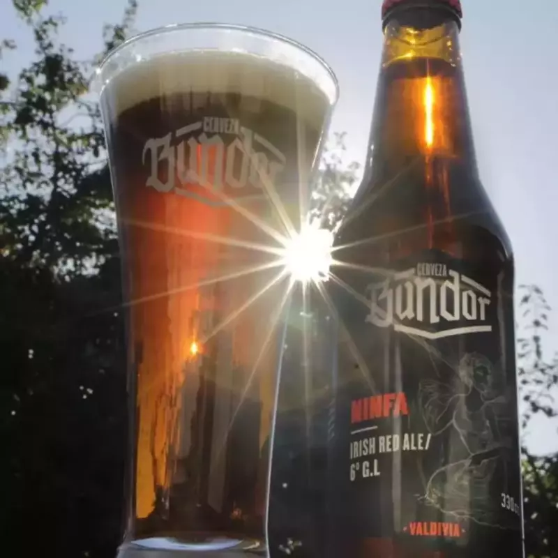 CERVEZA BUNDOR 330cc NINFA 6°