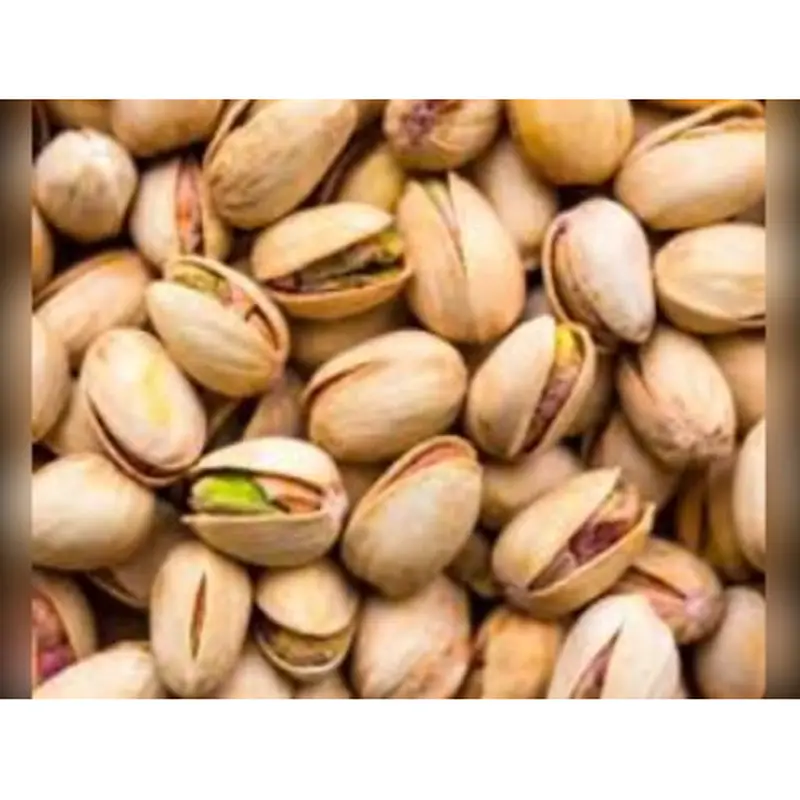 Pistache Torrado Salgado com Casca 50g