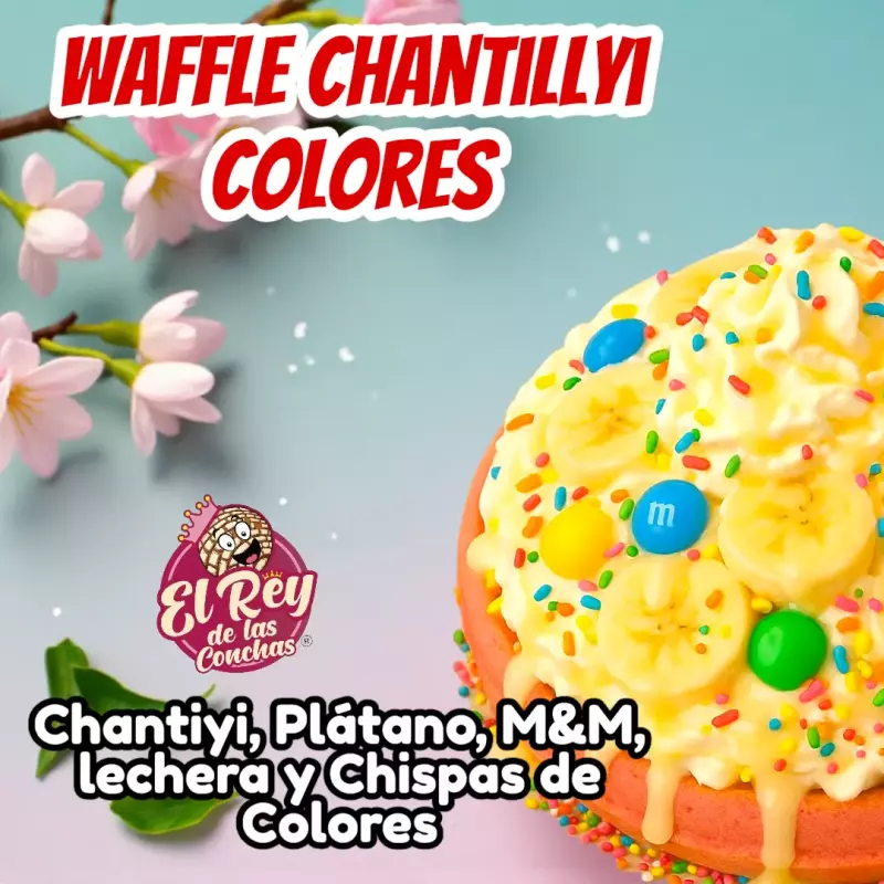 Waffle Colores 🌈