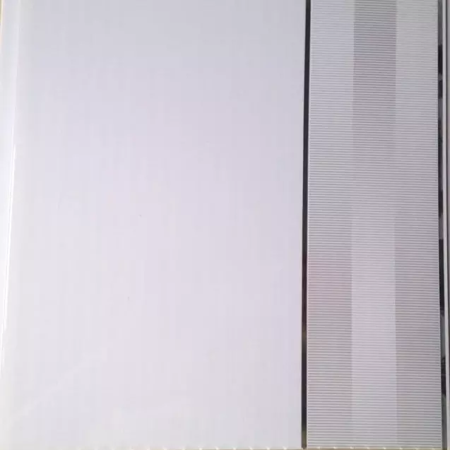 Lámina de PVC EJECUTIVO